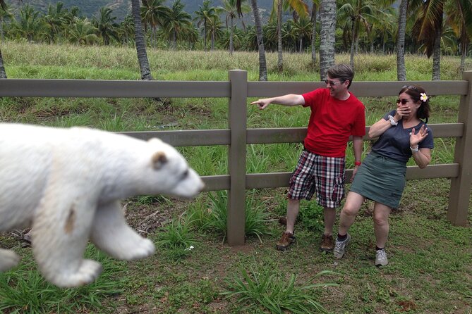 'Lost' and Movie Tour - Circle Island (9 hours): the full island day for Lost completists