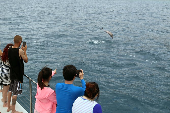Luxury Snorkel Cruise, Local Buffet with Whale & Dolphin Watch - The Onboard Photographer: Why It’s Handy (and How to Get the Most From It)