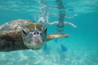 Mahina Hawaii Full Day Adventure - How your guide builds a custom day on Oahu