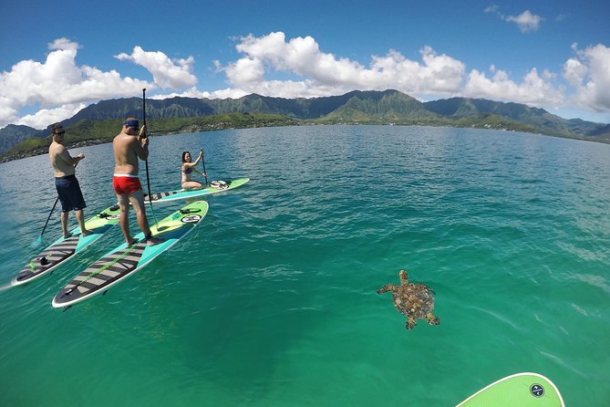 Mahina Hawaii Full Day Adventure - Photo Airdrop: the little service that makes it feel complete