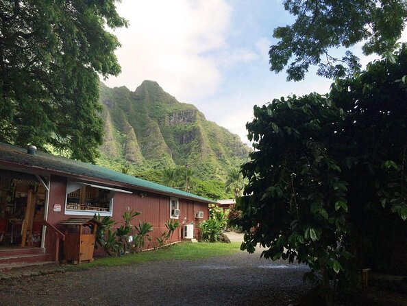 Majestic Circle Island Tour with Lunch - Why the Circle Island Day Works So Well From Waikiki