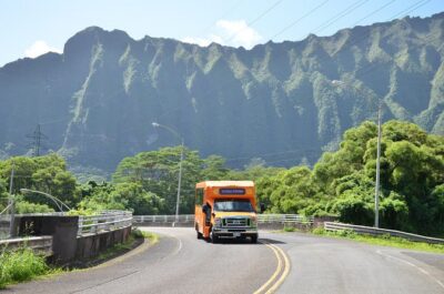 Majestic Circle Island Tour with Lunch - Price and Value: What $181.15 Really Buys You