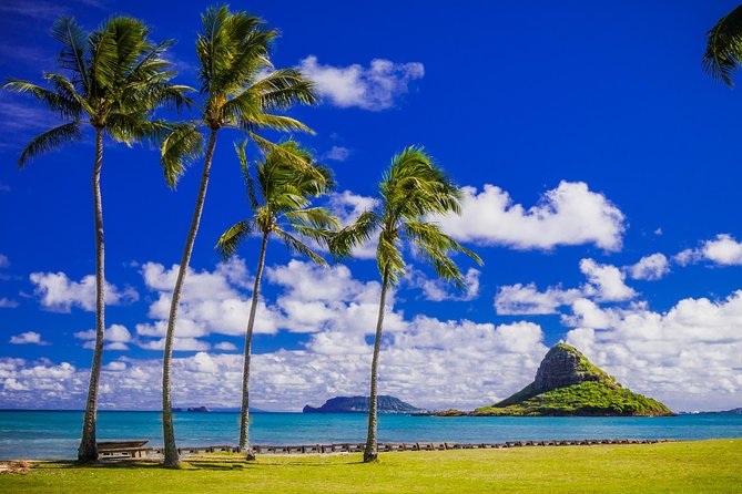 Majestic Circle Island Tour with Lunch - Waimea Valley: The 45-Foot Waterfall Swim Option