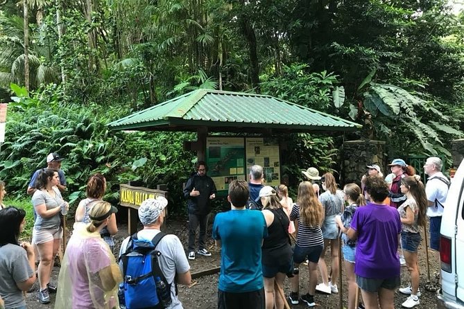 Manoa Falls Rainforest & Self-Guided Hike - Why Manoa Falls works so well as a self-guided rainforest hike