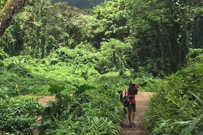 Manoa Falls Rainforest & Self-Guided Hike - What you receive at the start: the small items that prevent big problems