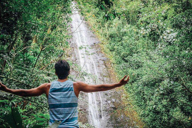 Manoa Waterfall Hike with Waikiki Pickup & Healthy Lunch - Getting to Manoa Valley: the easy start you’ll appreciate