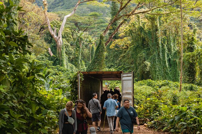 Manoa Waterfall Hike with Waikiki Pickup & Healthy Lunch - Tantalus Lookout and lunch: where the day turns from green to skyline