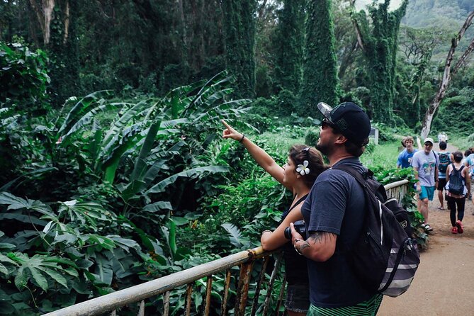 Manoa Waterfall Hike with Waikiki Pickup & Healthy Lunch - Price and value: is it worth $107.10 compared with DIY?