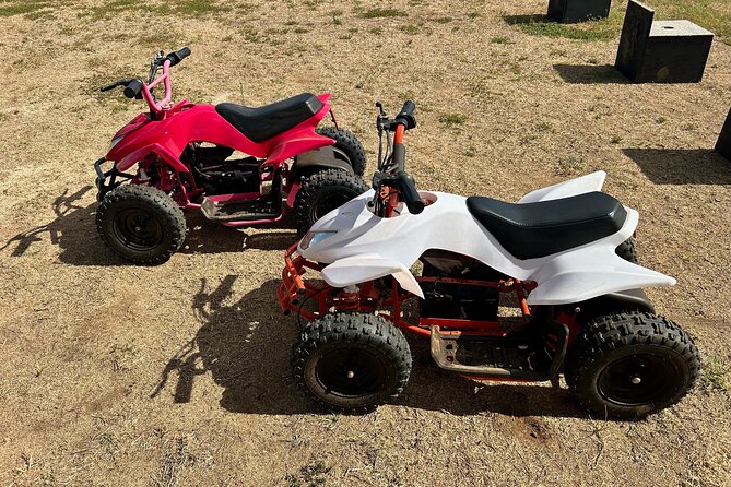 Mini ATVs and Farm Animal Experience - Key highlights before you go
