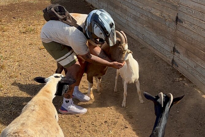 Mini ATVs and Farm Animal Experience - Price and value: what $103.66 gets you on Oahu