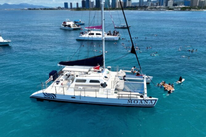 Moana’s Waikīkī Grand Guided Turtle Snorkel & Sailing Adventure - Getting to Kewalo Basin Harbor Without Stress