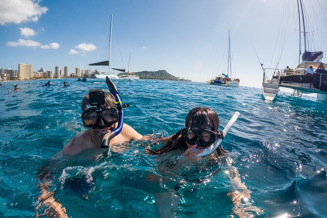 Moana’s Waikīkī Grand Guided Turtle Snorkel & Sailing Adventure - Turtle Canyon Reefs: What You’re Likely to See