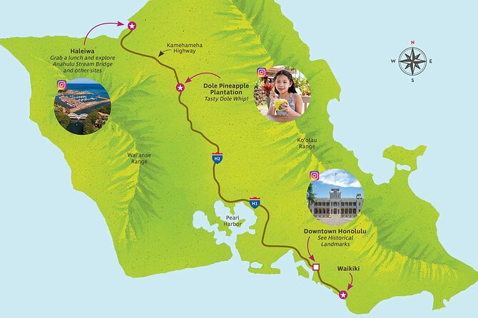 North Shore Haleiwa & Dole Plantation Tour - Guides and Local Direction: Why the Right Driver Matters