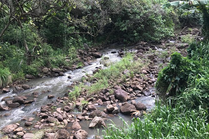 North Shore / Waimea, Falls Day & Swim with Turtles - Swimming With Turtles: How to Make It Worth the Effort
