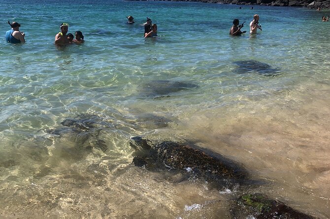 North Shore / Waimea, Falls Day & Swim with Turtles - Lunch at North Shore Shrimp Trucks in Haleiwa