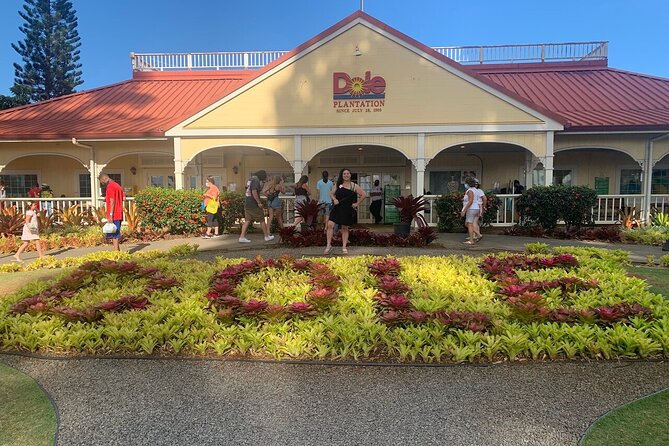 Oahu Allstar Circle Island Tour: Dole, Turtles, Blowhole, Fun - Turtle Beach Time: What You Can Expect (and What You Can’t)