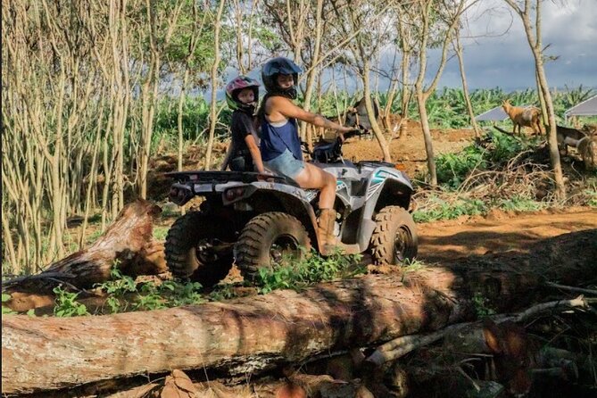 Oahu Beachfront ATV Adventure and Farm Tour - Pick a shoreline plant and put it in the ground