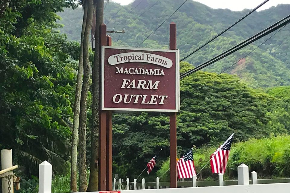 Oahu: Beauty and the Feast Circle Island Experience - Macadamia nut farm and fruit-stand breaks: the snack stops that feel real