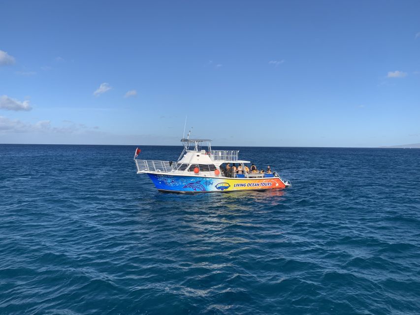 Oahu: BYOB or Cash Bar Waikiki Sunset Cruise - Kewalo Basin Pier B: Getting There Without Losing the Best Light