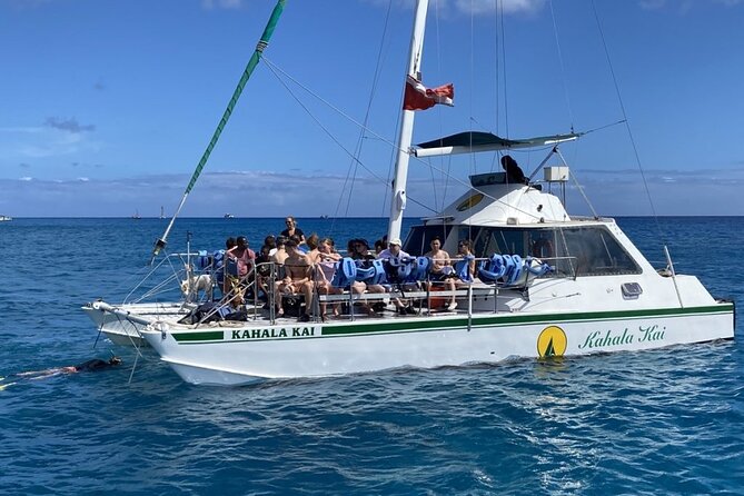 Oahu Catamaran Snorkel Tour: See Turtles 100% Guaranteed - Snorkel gear, snacks, and why comfort is part of the deal