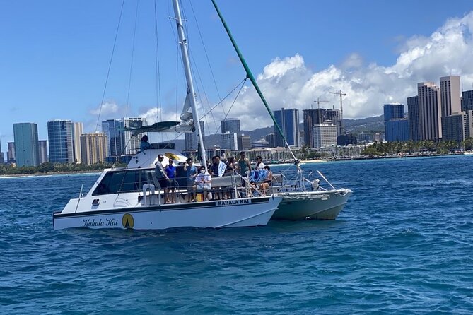 Oahu Catamaran Snorkel Tour: See Turtles 100% Guaranteed - Price and value: is $49.95 a steal or a risk?