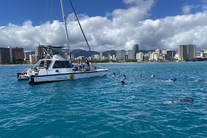 Oahu Catamaran Snorkel Tour: See Turtles 100% Guaranteed - The turtle guarantee: what it means on the water