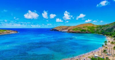 Oahu: Circle Island Top Sights Full-Day Tour w/ Local Guide - Waikiki pickup, air-conditioned comfort, and guide-led storytelling