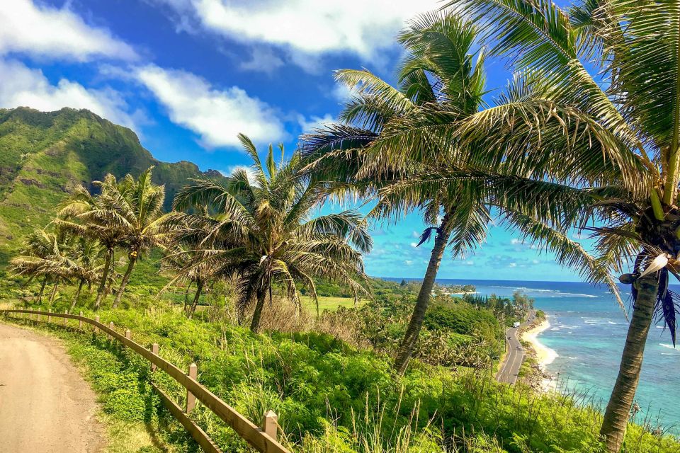 Oahu: Circle Island Top Sights Full-Day Tour w/ Local Guide - Dole Plantation finish: Dole Whip and last-minute souvenirs