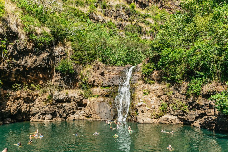 Oahu: Circle Island Tour with Lunch & Waimea Waterfall - Kahuku Shrimp Trucks: Lunch With Local Choices (Not Just One Meal)