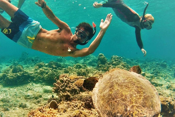 Oahu Circle Island Tour with Turtle Snorkeling,  Small-Groups - A Better Oahu “Circle” When You Want Motion and Variety