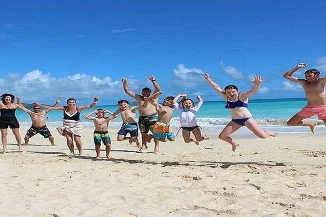 Oahu Circle Island Tour with Turtle Snorkeling,  Small-Groups - Macadamia Nut Farm and Kona Coffee Tasting: Small Things That Make the Day Fun