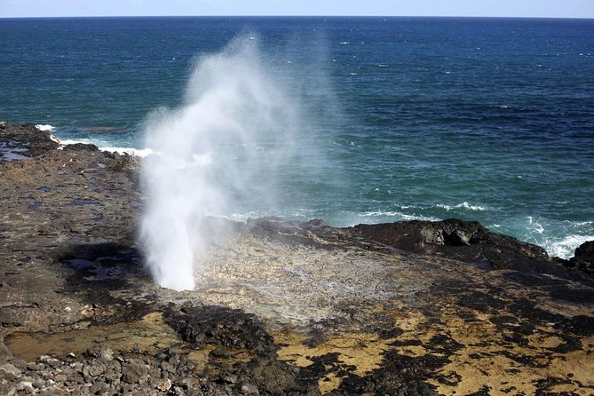 Oahu Circle Island Tour with Waimea Waterfall - North Shore Eats and Surf-Era Icons: Fruit Stands, Sunset Beach, Pipeline, Sharks Cove