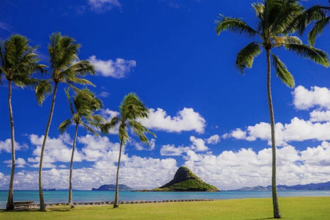 Oahu Circle Island Tour with Waimea Waterfall - Waimea Botanical Gardens and Waimea Waterfall: The One Stop You Should Actually Plan For