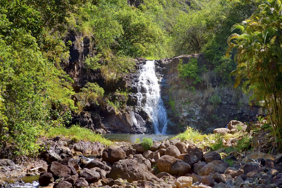 Oahu: Complete Island Tour with Tropical Waterfall Swimming - Nuuanu Pali, Makapuʻu, and Halona Blowhole: Closing With Big Coastline Views