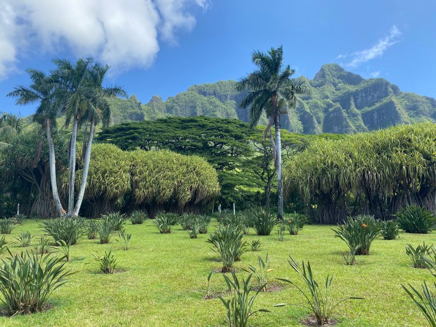 Oahu: Diamond Head Crater Hike and North Shore Experience - The tour day rhythm: what it feels like in real life