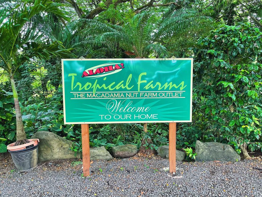 Oahu: Diamond Head Crater Hike and North Shore Experience - Dole Plantation and Dole Whip: the best way to do it in 45 minutes