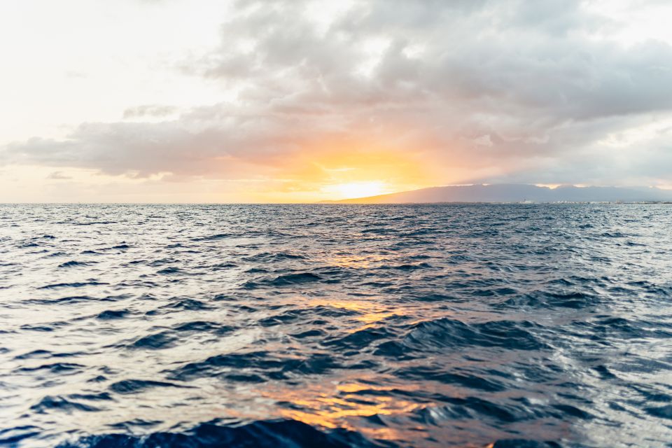 Oahu: Diamond Head Cruise with Drinks & Appetizers - Sunset Catamaran to Diamond Head From Kewalo Basin Harbor