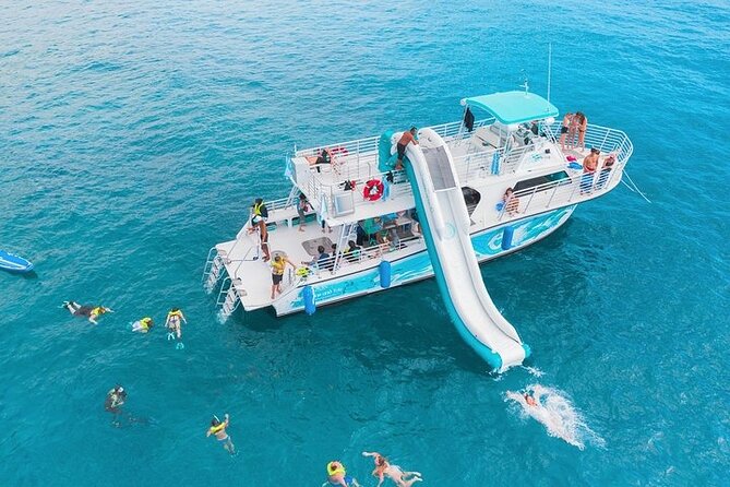 Oahu Dolphin and Snorkel Tour with Waikiki Pickup & Lunch - Key takeaways before you book