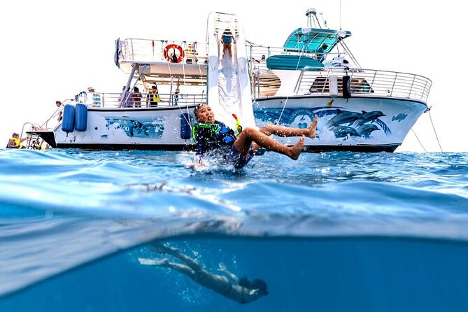 Oahu Dolphin and Snorkel Tour with Waikiki Pickup & Lunch - The real value in the $164.70 price: transport, gear, lunch, and water time