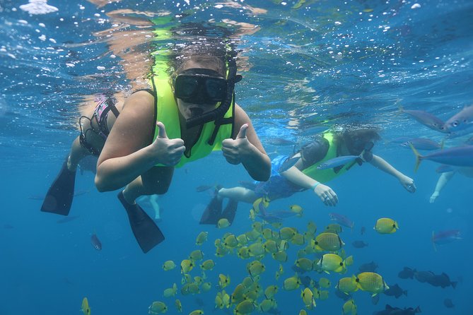 Oahu Dolphin and Snorkel Tour with Waikiki Pickup & Lunch - Getting to Waiʻanae Small Boat Harbor: the early start you actually need