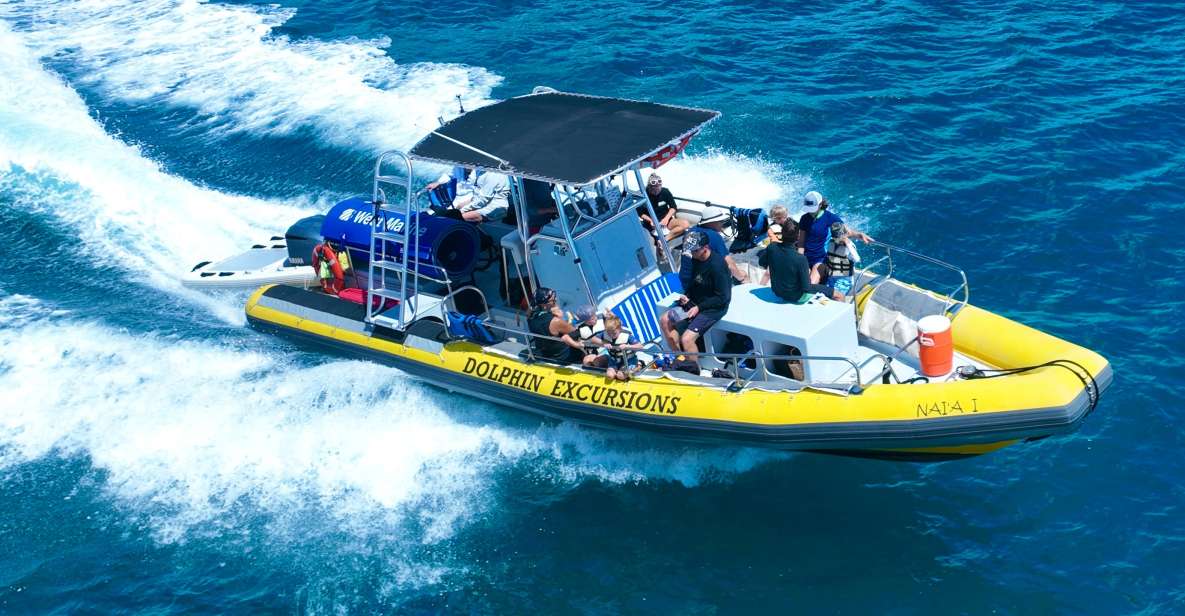 Oahu: Dolphin Swim and Turtle Snorkel Excursion in Waianae - Safety Briefing: The 30 Minutes That Save You Later
