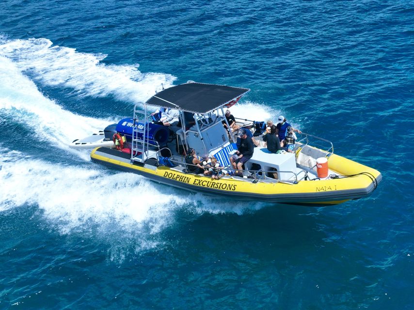 Oahu: Dolphin Swim and Turtle Snorkel Excursion in Waianae - Pickup, Timing, and the Van You’ll Actually Find