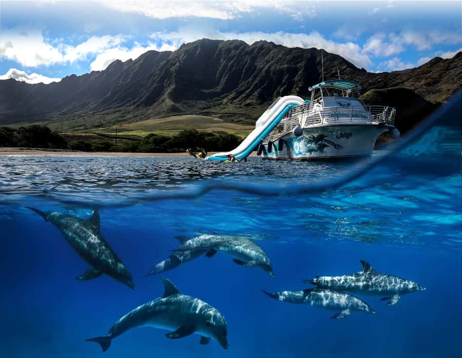 Oahu: Dolphin Watching & Turtle Snorkeling with Waterslide - Key highlights at a glance