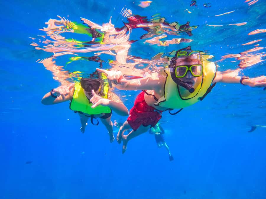 Oahu: Dolphin Watching & Turtle Snorkeling with Waterslide - Lunch onboard plus live hula: the cultural reset you’ll appreciate