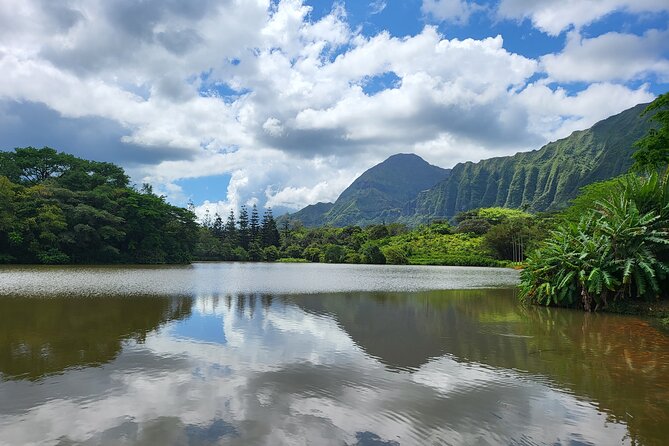 Oahu Fun Circle Island Tour With Pickup - Macadamia samples, Kualoa viewpoints, and Jurassic Park-style filming scenes