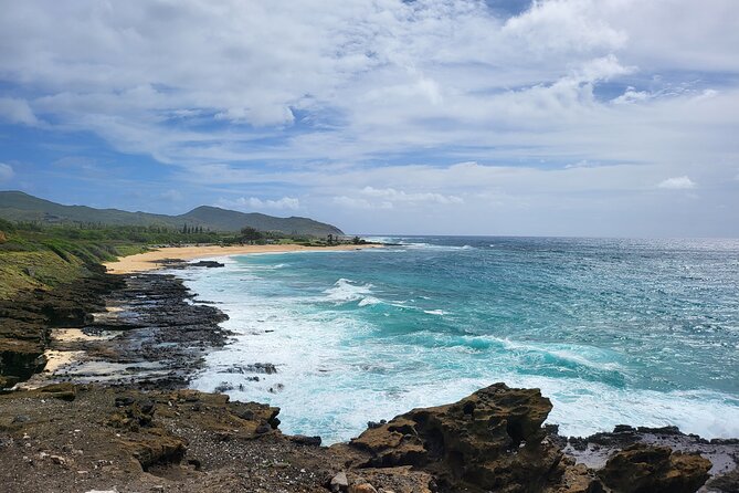 Oahu Fun Circle Island Tour With Pickup - Puaʻena Point Beach Park: turtle time and a real place to breathe