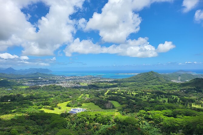 Oahu Fun Circle Island Tour With Pickup - Dole Plantation: pineapple ice cream and rainbow eucalyptus