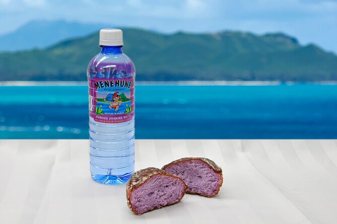Oahu Grand Circle Island and Haleiwa Tour: 9-Hr Deluxe Experience - Tropical Farms Macadamia Stop and the North Shore Switch to Haleiwa
