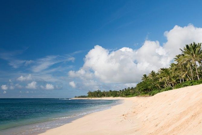 Oahu Grand Circle Island: Discover the Heart & Soul of Hawaii - Hanauma Bay Nature Preserve: the short stop that still hits hard
