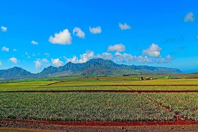 Oahu Grand Circle Island Experience from Waikiki - Guides can make or break the day: names I’d watch for